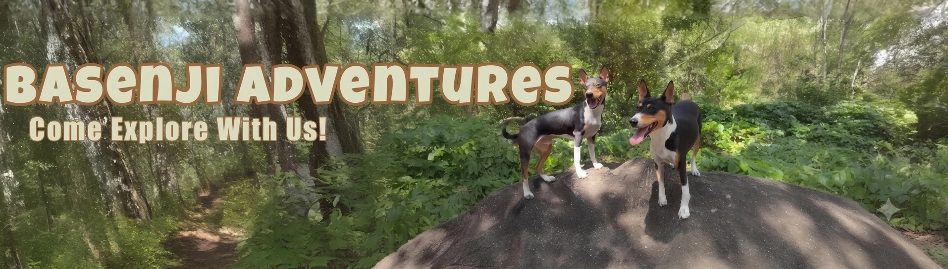 Basenji Adventures