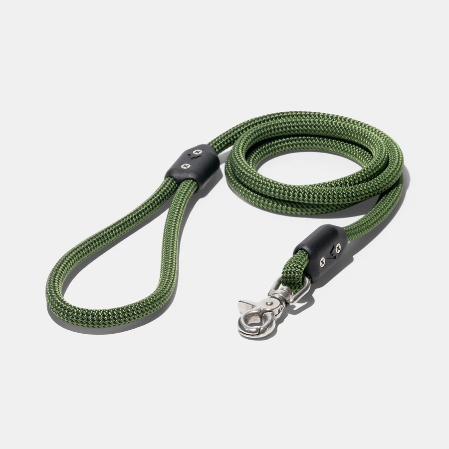 Best Leash