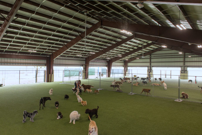 Pompano Pet Lodge indoor run