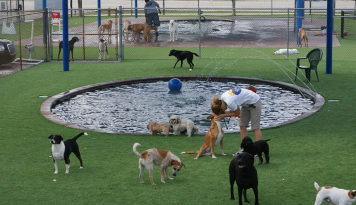 Pompano Pet Lodge