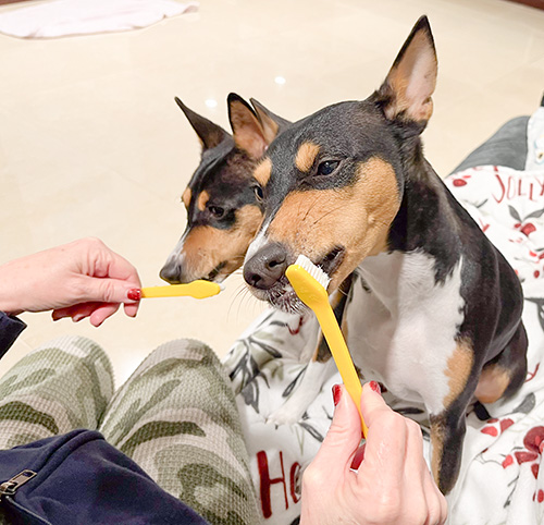 Tooth brushing