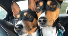 Z and Z in car